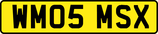 WM05MSX