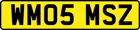 WM05MSZ