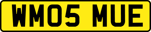 WM05MUE