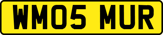 WM05MUR