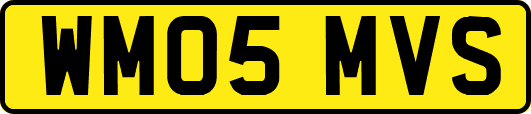 WM05MVS