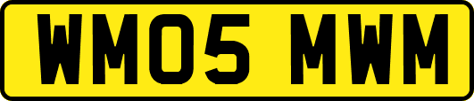 WM05MWM
