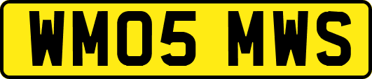 WM05MWS