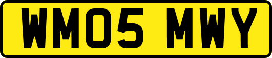WM05MWY