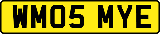WM05MYE