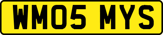 WM05MYS