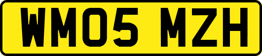 WM05MZH