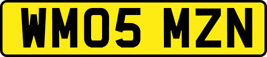 WM05MZN