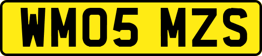 WM05MZS