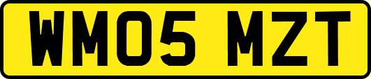 WM05MZT