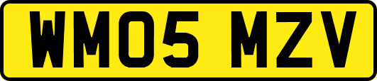 WM05MZV