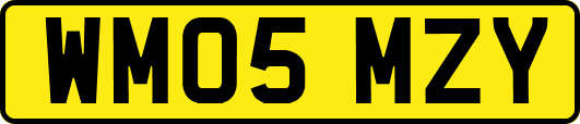 WM05MZY
