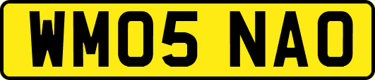 WM05NAO