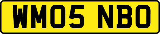 WM05NBO