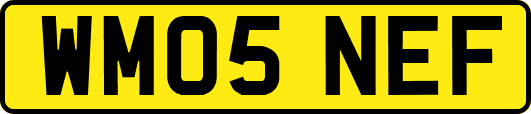 WM05NEF