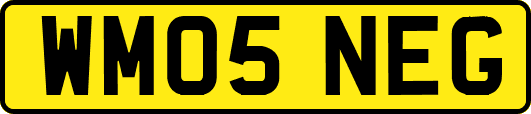WM05NEG