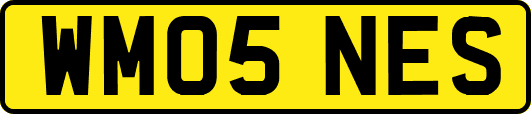 WM05NES