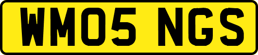 WM05NGS