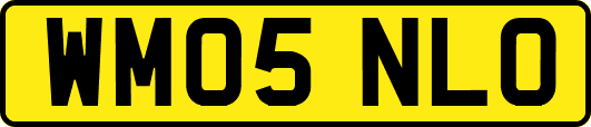 WM05NLO