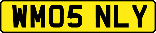 WM05NLY