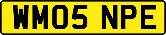 WM05NPE