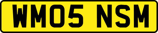 WM05NSM