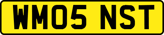 WM05NST