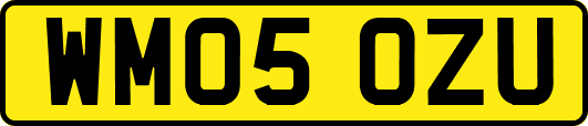 WM05OZU