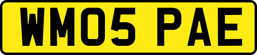 WM05PAE