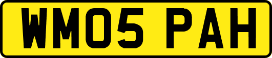 WM05PAH