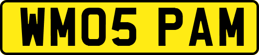 WM05PAM