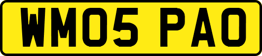 WM05PAO