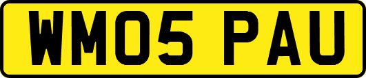 WM05PAU