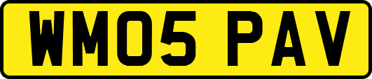 WM05PAV