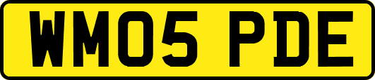 WM05PDE