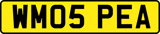 WM05PEA