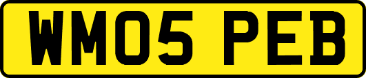 WM05PEB