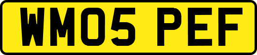 WM05PEF