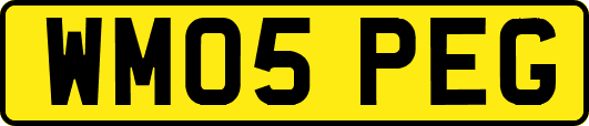 WM05PEG