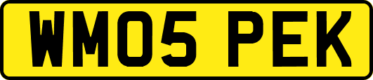 WM05PEK