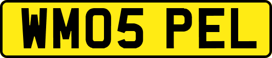 WM05PEL