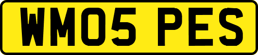 WM05PES