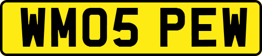 WM05PEW