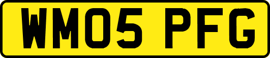 WM05PFG