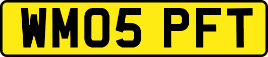 WM05PFT