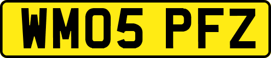 WM05PFZ