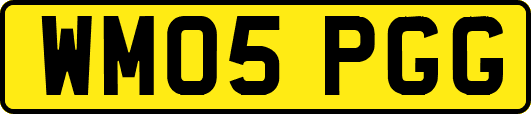 WM05PGG