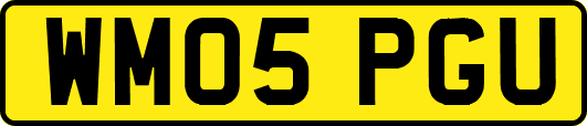 WM05PGU