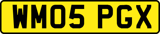 WM05PGX