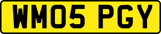 WM05PGY